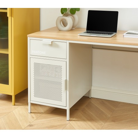 PANTONE metal beige sand desk 47.24 inches