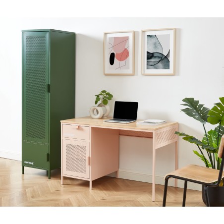 PANTONE metal blush pink desk 47.24 inches
