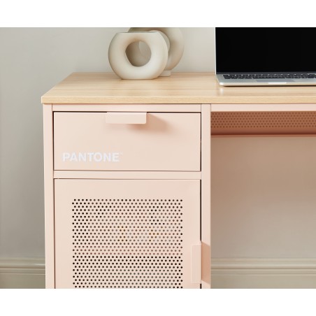 PANTONE metal blush pink desk 47.24 inches
