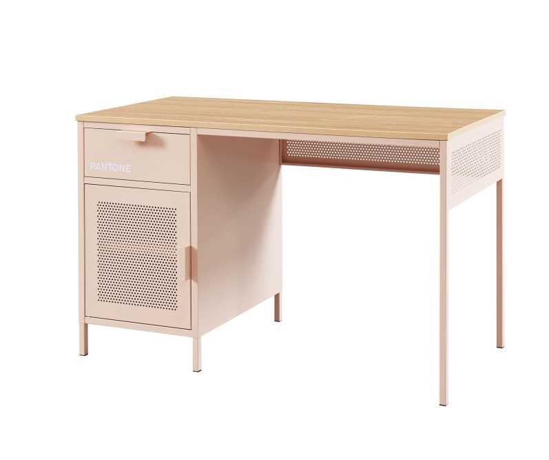 PANTONE metal blush pink desk 47.24 inches PANTONE metal blush pink desk 47.24 inches