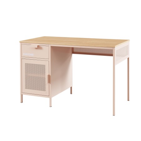 PANTONE metal blush pink desk 47.24 inches
