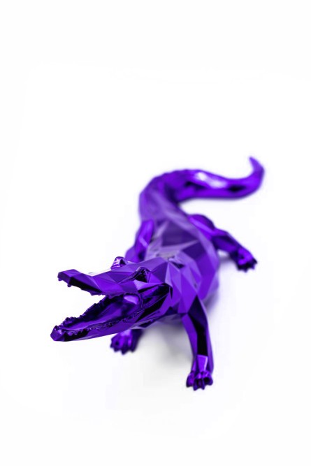 CROCO SPIRIT CROCO SPIRIT