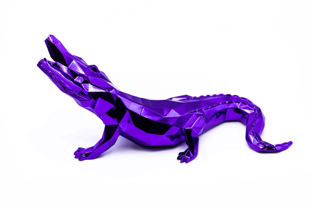 CROCO SPIRIT CROCO SPIRIT