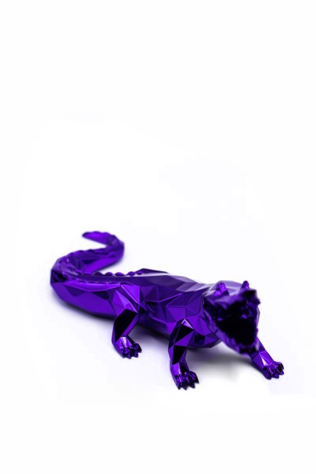 CROCO SPIRIT CROCO SPIRIT
