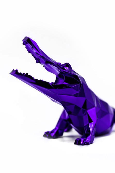 CROCO SPIRIT CROCO SPIRIT