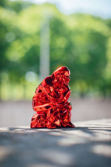 THINKING KONG SPIRIT